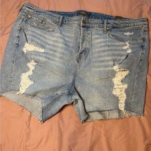 Torrid Light Blue Distressed Jean Shorts